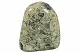 Free-Standing, Polished Rainforest Jasper (Rhyolite) - Australia #208478-1